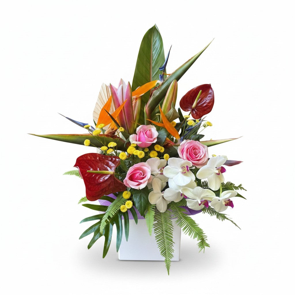 Tropical Exotic Arrangement