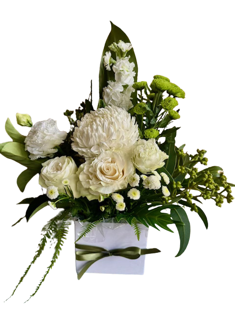 White Sympathy Box
