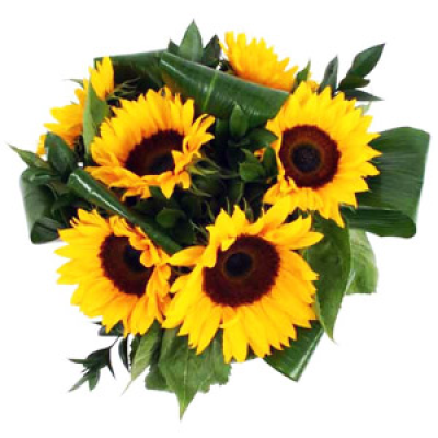 Weekly Special-Sunflowers - Beautiful sunflowers. Locally grown, great quality flowers.  Long lasting,
