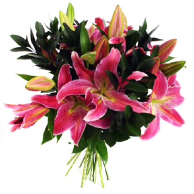 AWESOME ORIENTALS - LONG LASTING LILIES THAT WILL WOW
