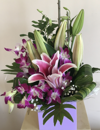 TROPICALLE - BEAUTIFUL FLOWERS DESIGNED IN A BOX CONTAINER.  GREAT FOR DELIVERY TO ROBINA HOSPITALS AND OTHR GOLD COAST HOSPITALS.