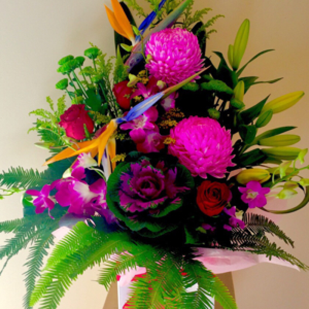 Paradiso Product Image