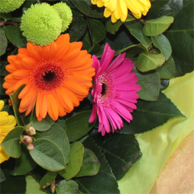 Florist Choice Bright - Let us do your thinking for you.   We wrap up the best quality flowers available for you.