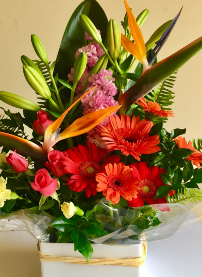 Superb Birds - The best of Australian flowers. 