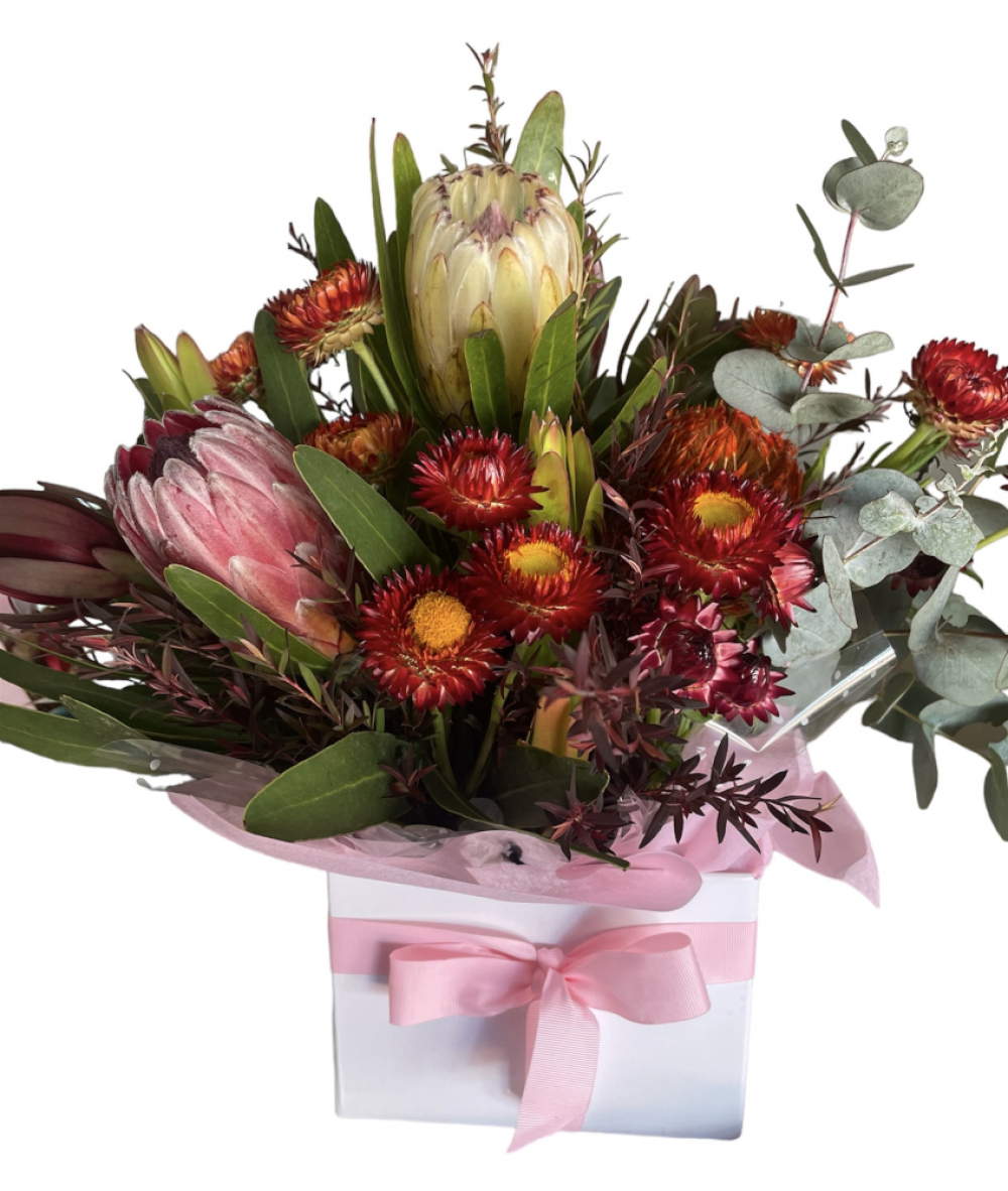 Wild Thing Product Image
