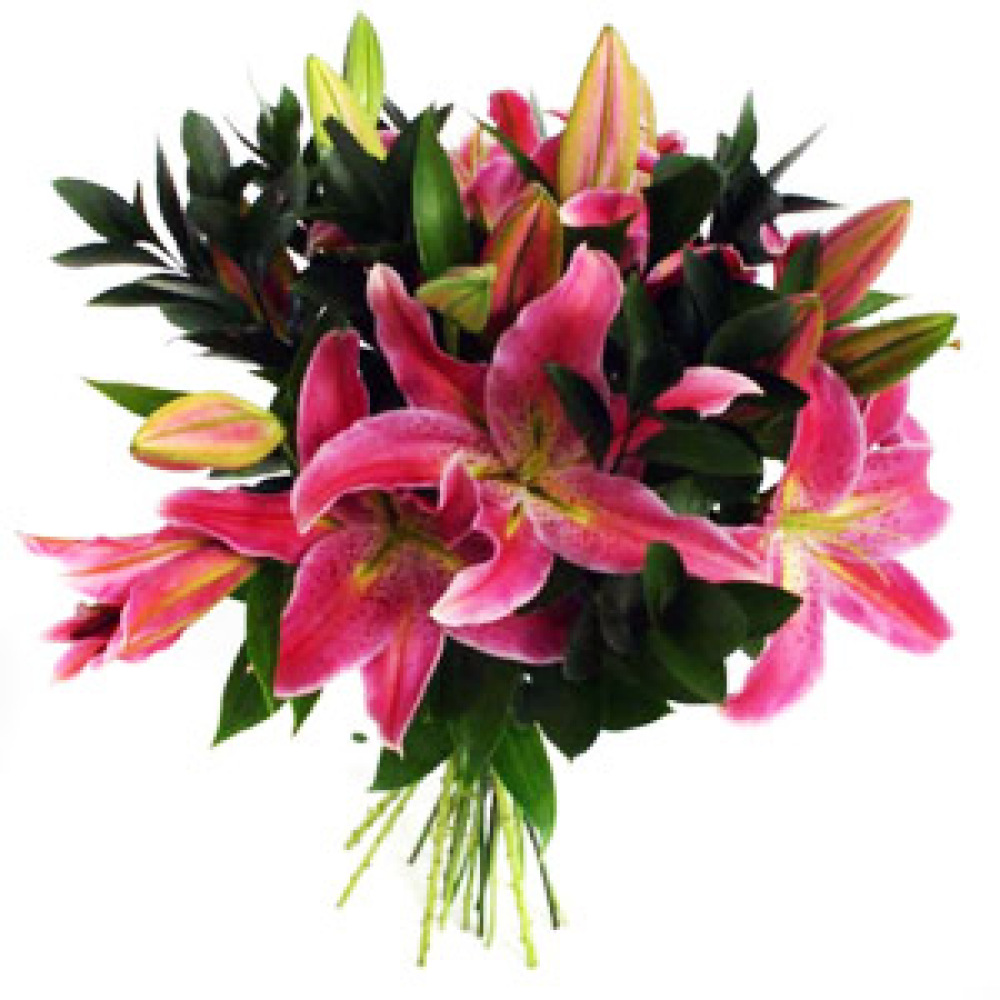 AWESOME ORIENTALS Product Image