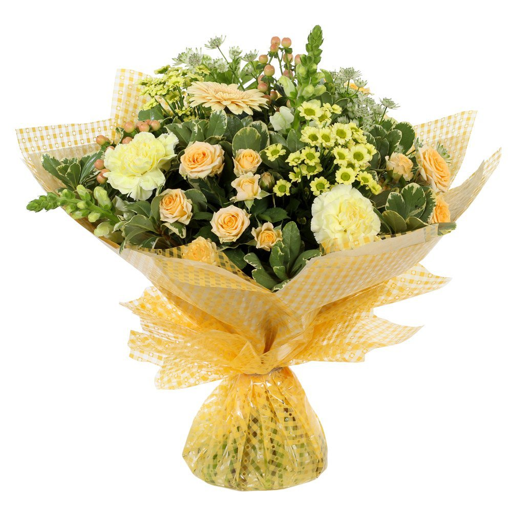 Sunshine Product Image