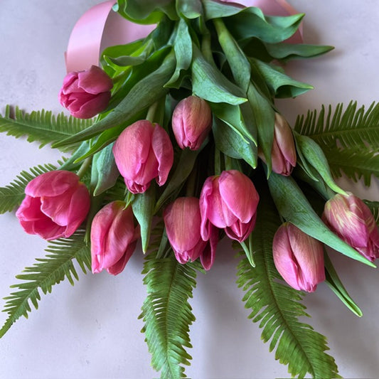 Tulips pink